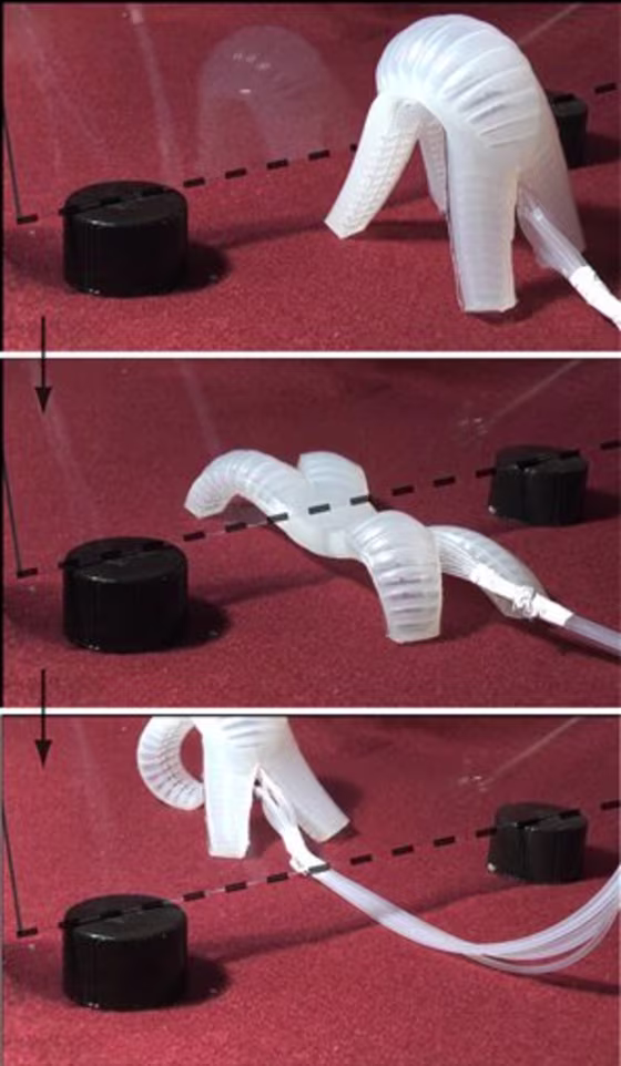 A&nbsp;soft-bodied robot navigates, top to bottom, an obstacle course. Harvard researchers have built this flexible prototype robot that can crawl and move in a wavelike motion. Unlike rigid robots, soft robots can be used to squeeze into tight spaces.